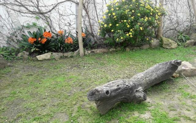 Casa del Árbol