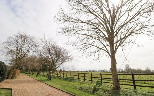 Pear Tree