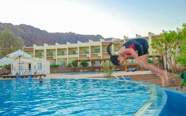 Dessole Holiday Taba Resort 4*