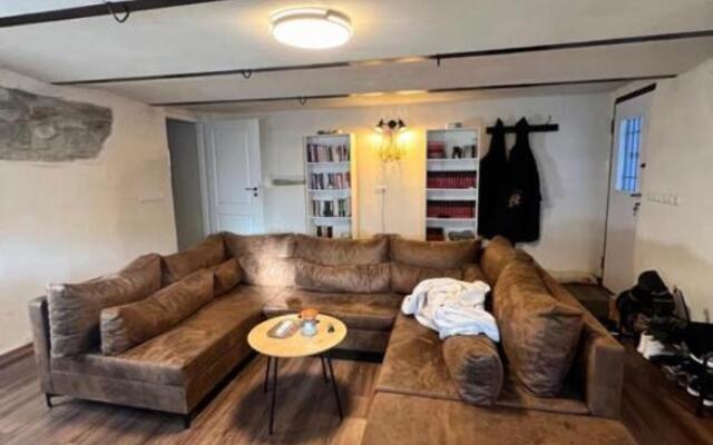 Cozy Contemporary Saxon Apartment