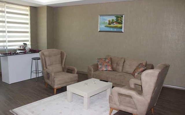 Grand Ali'n Hotel Turhal