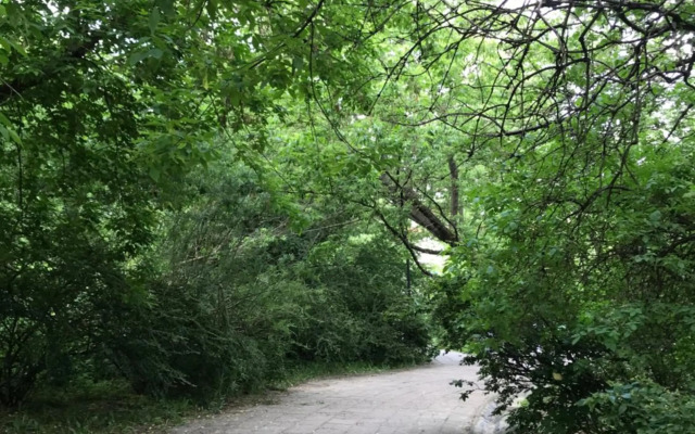 Royal Garden Apartment