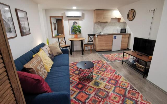 Smile Miko Apartment by Castle