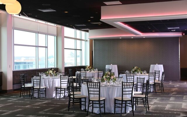 Tulyp, Tapestry Collection by Hilton