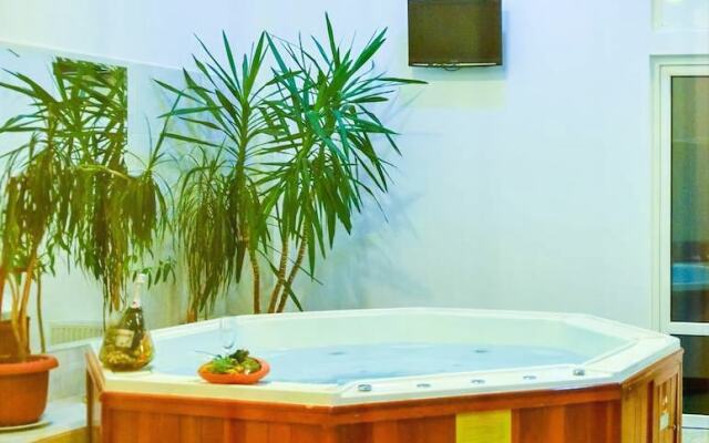 Andy Hotel Predeal
