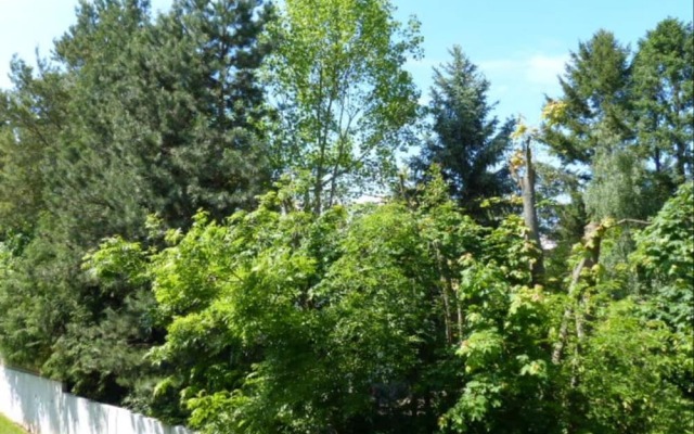 Studio 2 - Location de Vacances Obernai