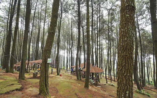 OYO Homes 90914 Eco Tourism Desa Cipada Bukit Senyum Homestay Syariah