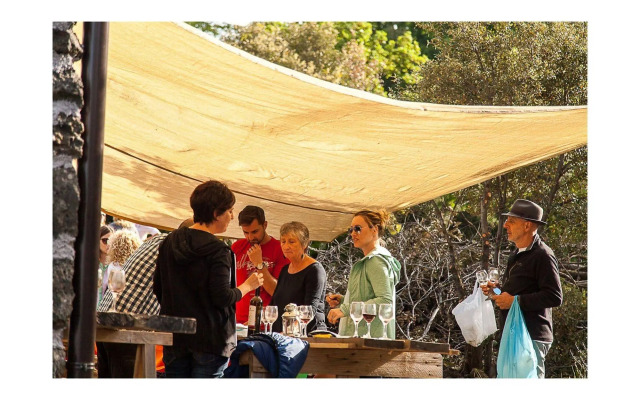 Etnella enoagriturismo Notti Stellate