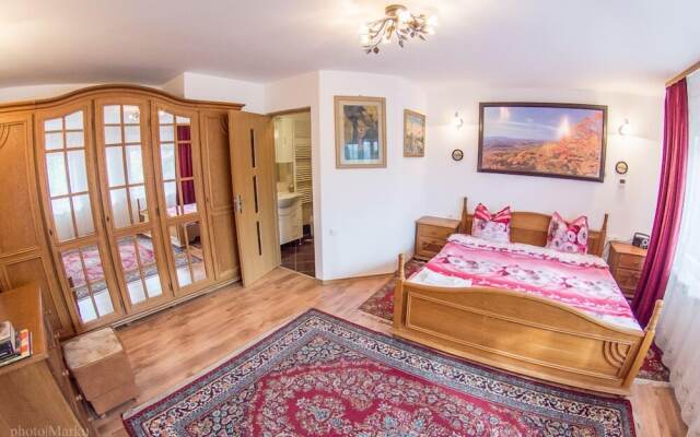 Vila Flora Viseu de Jos