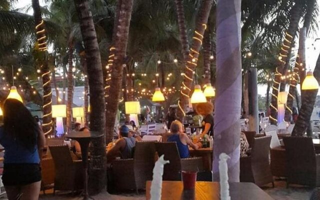 Areca