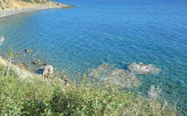 Nikos Place