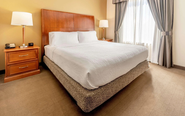 Hilton Garden Inn Houston/The Woodlands