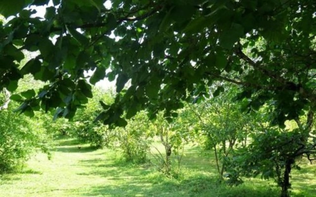 Domaine les Messauts - Gîte Le Cerisier