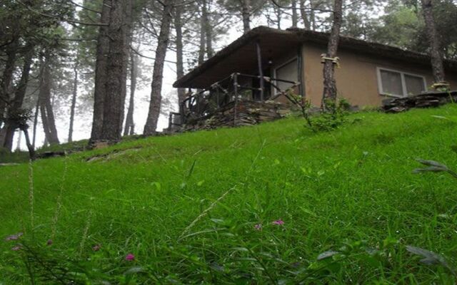 Aamod Resort - Shoghi