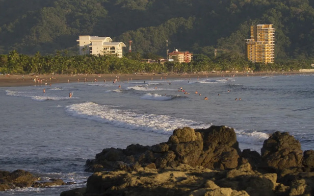 Bird of Paradise Hotel