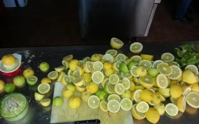 La Sorgente delle Madonie