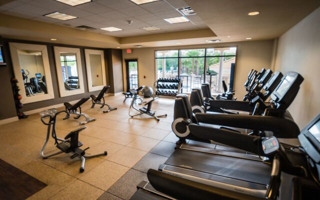 Hilton St. Petersburg Carillon Park