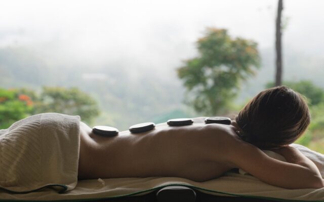 Madulkelle Tea and Eco Lodge
