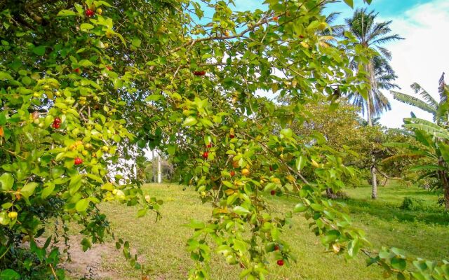 Hotel Fazenda Recanto