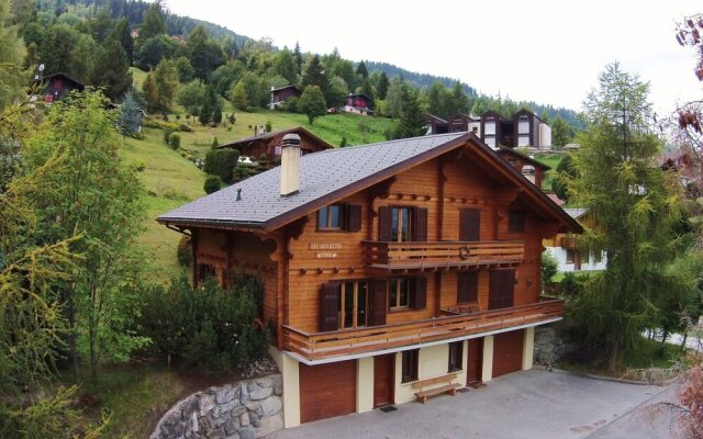 Well Equipped Valais Chalet With Fireplace and Three Floors