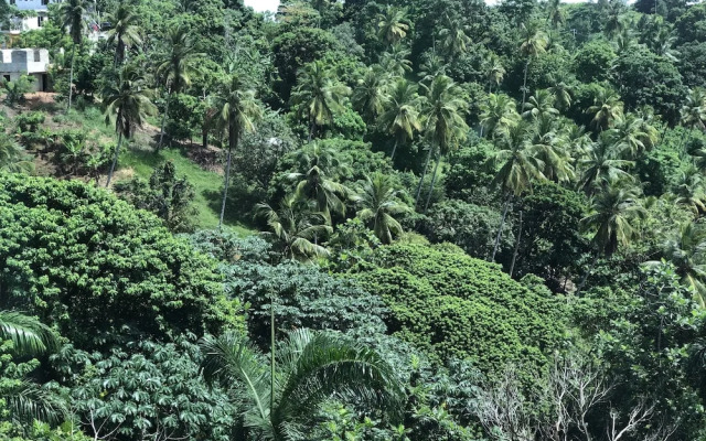 Figaro Hotel Boutique