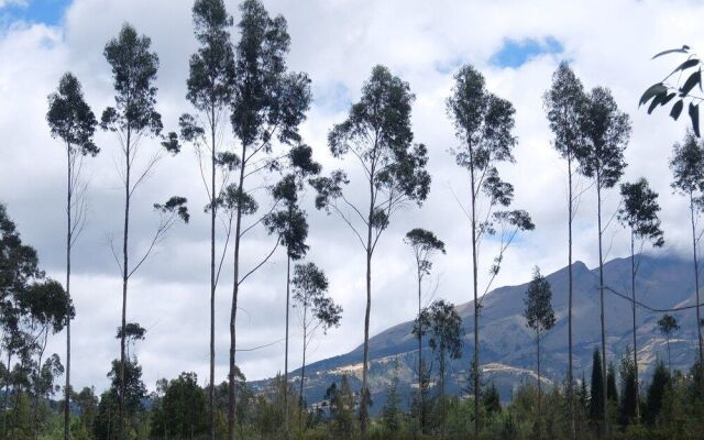 Refugio Terra Esperanza - Hostel
