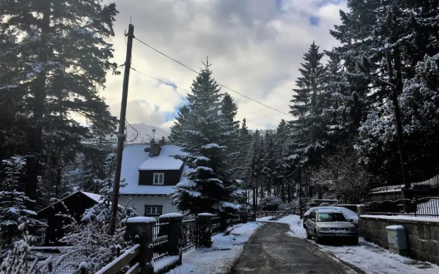 Pokoje Gościnne Pod Sosnami