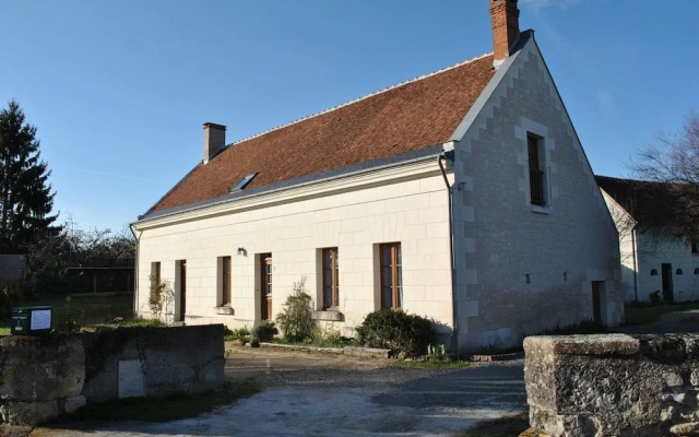 Le Tulipier de Virginie