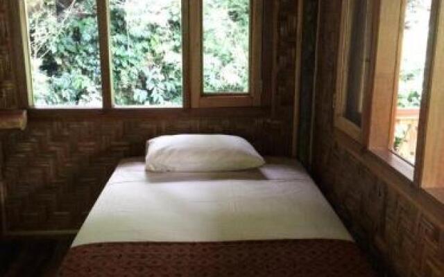 Sumatra Rainforest Eco Retreat