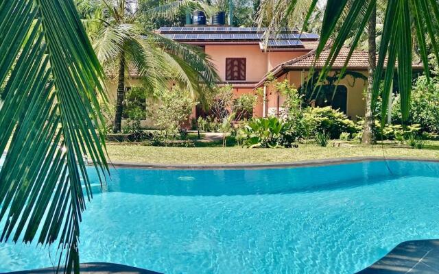 King Coconut Lodge
