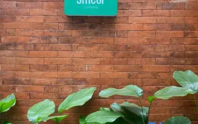Smedi Coliving