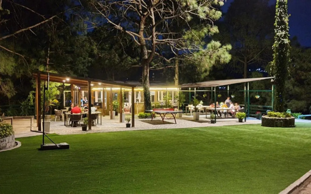 Kasauli Hills Resort