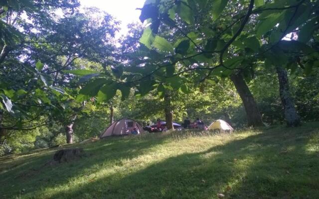 Camping Camaldoli