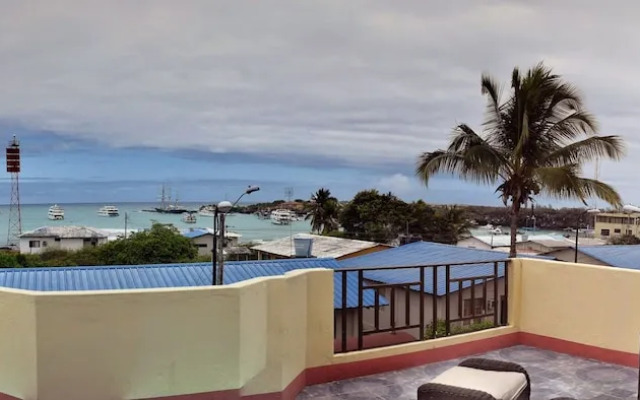 Hostal Flightless Cormorant