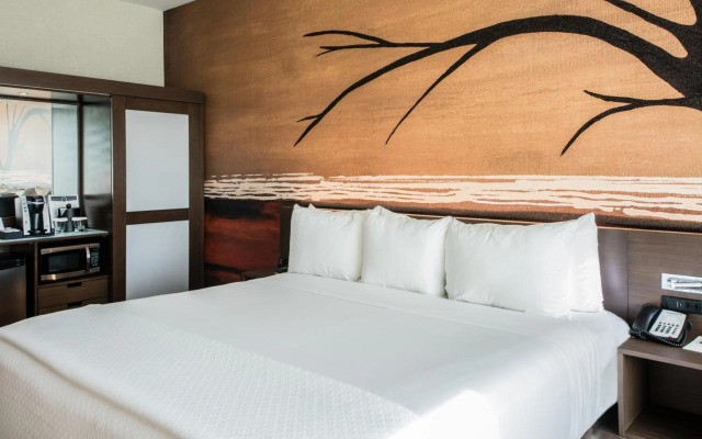 Cambria Hotel McAllen Convention Center