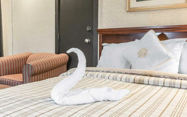 Rodeway Inn Metro Airport