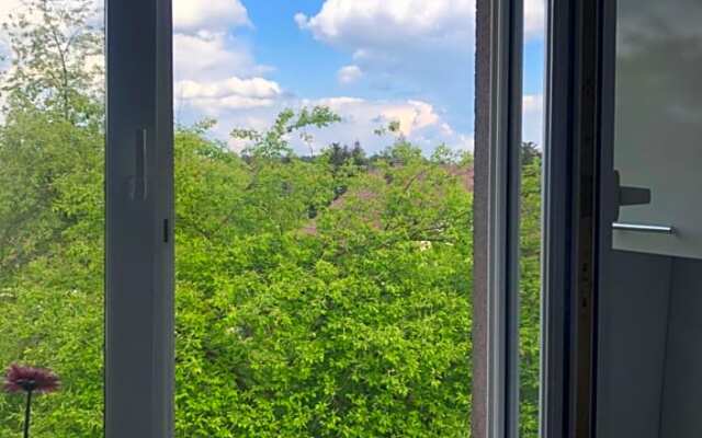 Szumi Las Bed & Breakfast