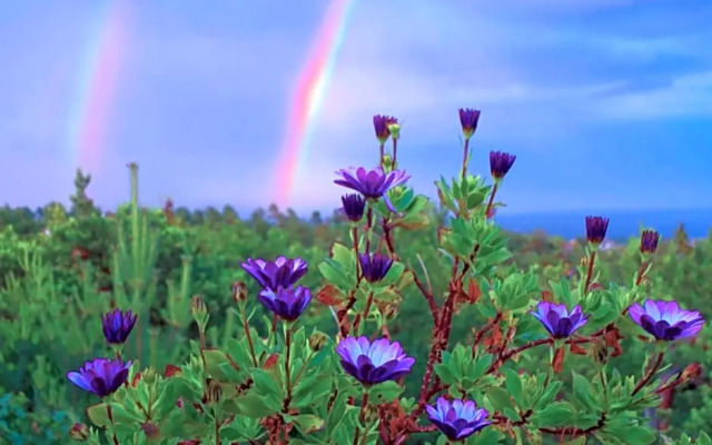 Risør Bed & Breakfast, Randvik Strand