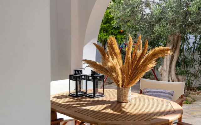 Cycladic Vibes Tinos