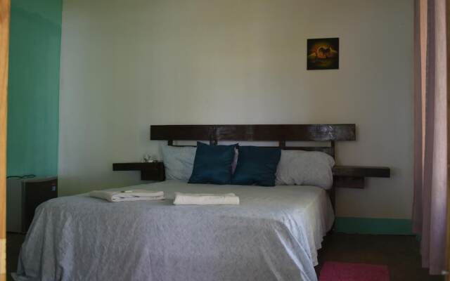 Casa Turtle Bogue - Hostel