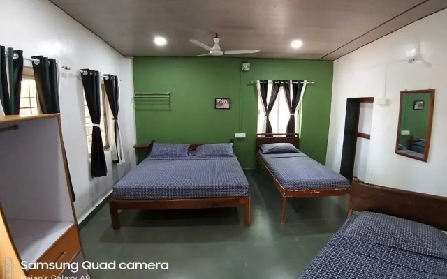 The Jungle Resort Amba