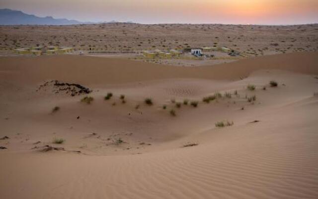 Golden Palm Oasis