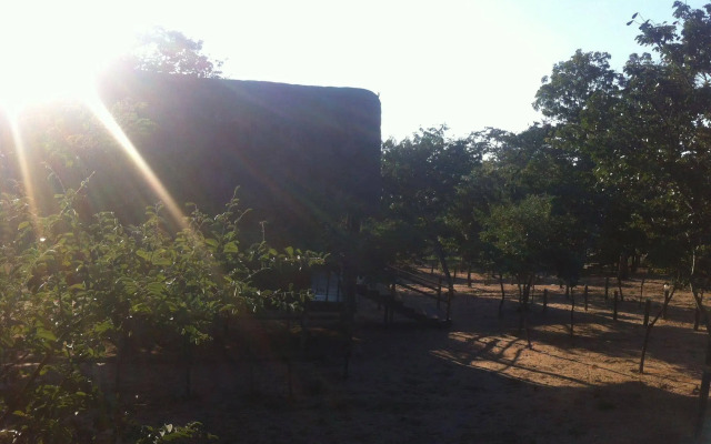Lion Roars Lodge