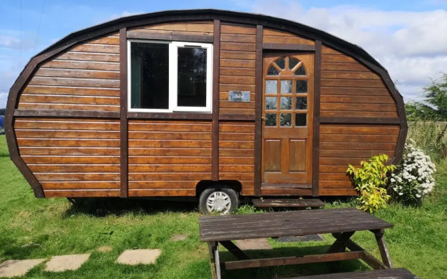 Balloch O'Dee - Bluebell