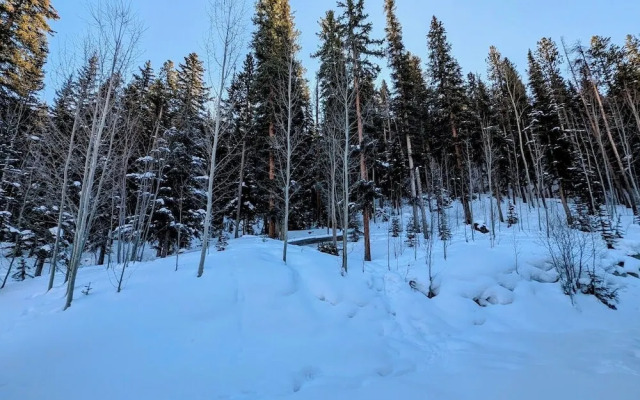 Settlers Creek 6540
