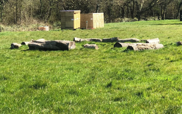 Elm - Bell Tent 2-4 Person Anglesey, North Wales