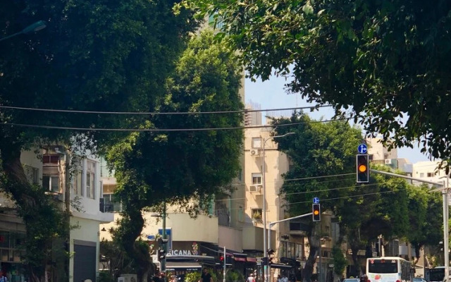 Cozy & Modern In The Centre Of The City