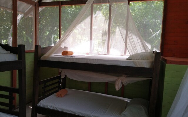 Ecohotel Las Palmeras