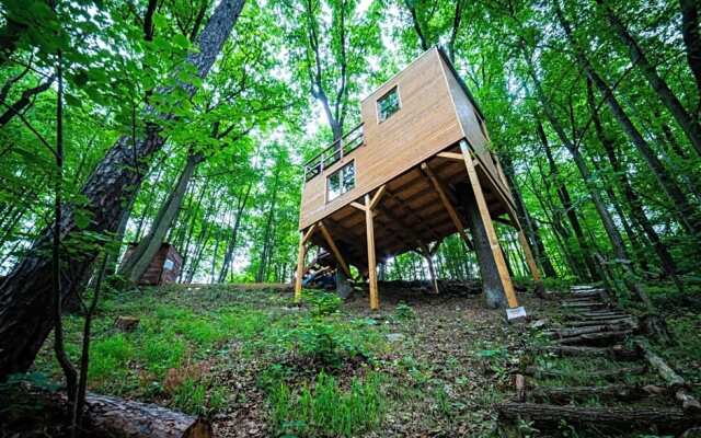 Treehouse Zlatá Koruna