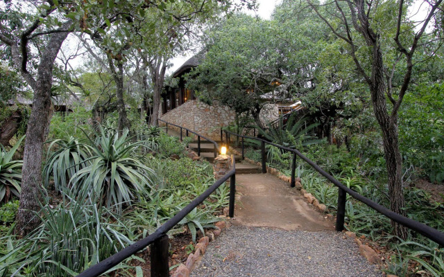 Shayamoya Tiger Fishing and Game Lodge